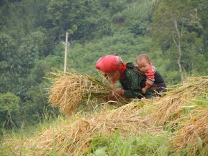 Sapa_vietnam